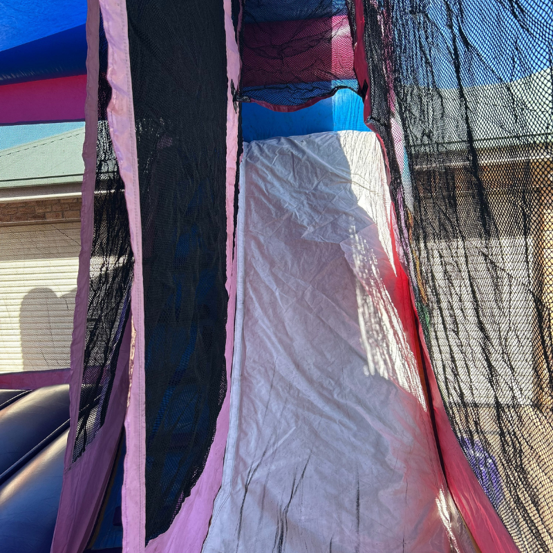 Jumping Castle Hire - Inside Slide - Ninja Princess