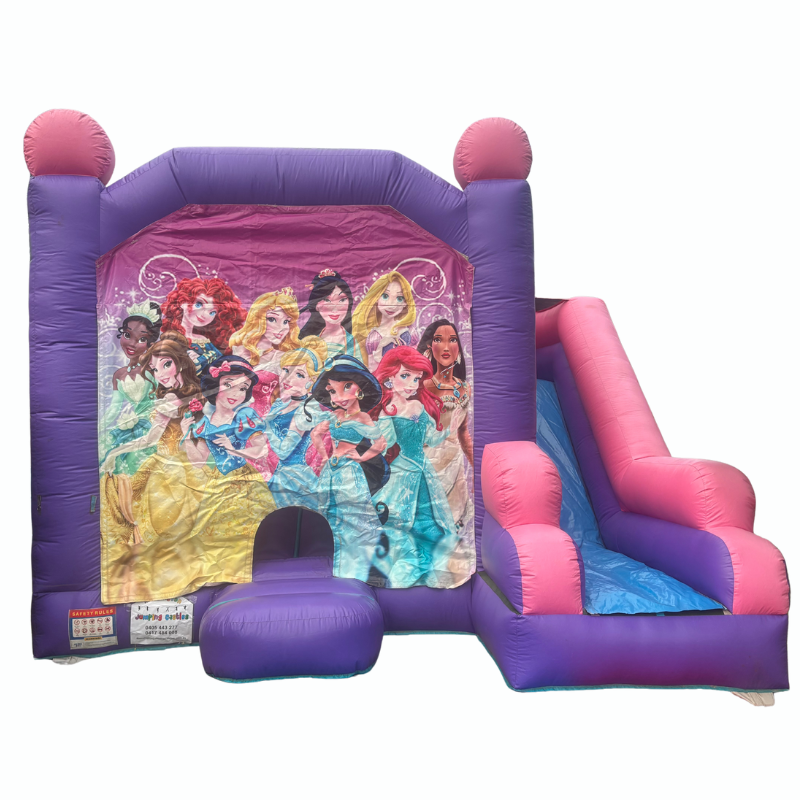 Jumping Castle Hire - Pink Combo Princess Jumping Castle